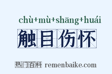 触目伤怀是什么意思的图片
